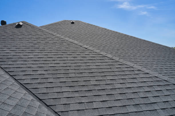 Best Cold Roofs  in Wagener, SC